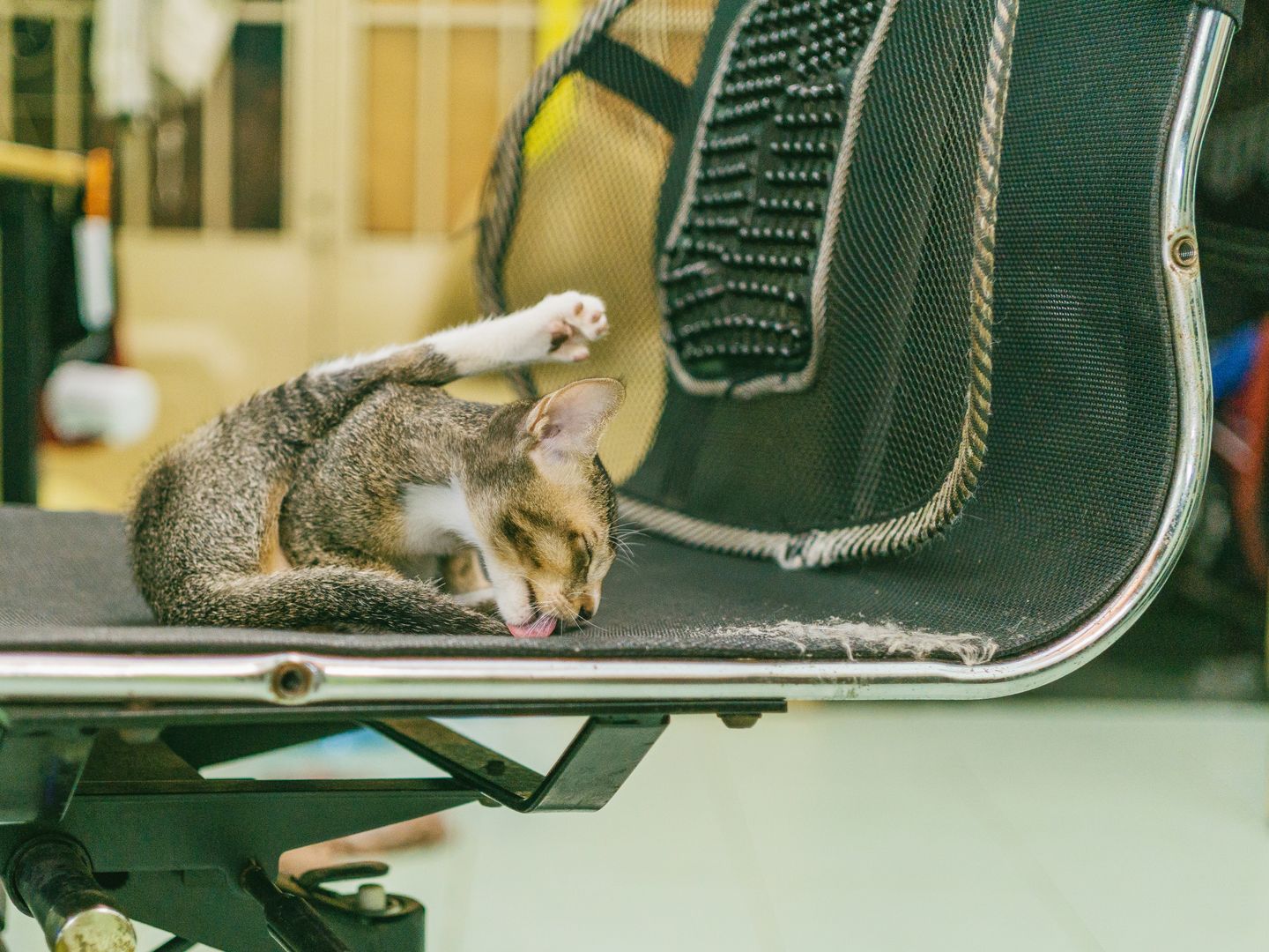 Herman Miller Aeron